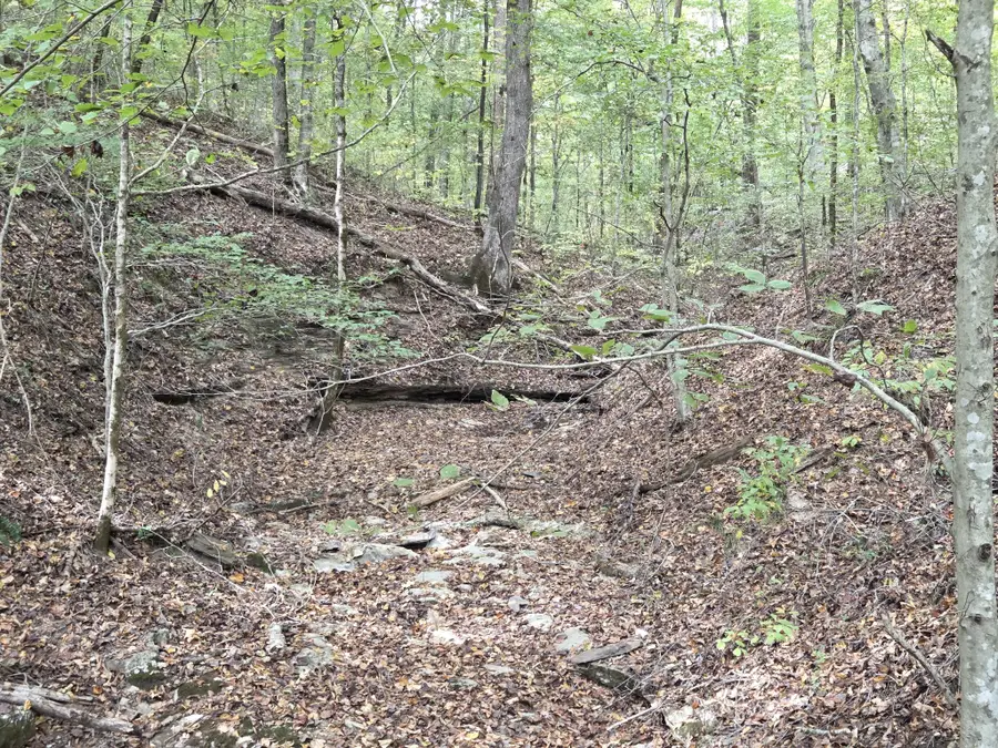 9436 Highway 100, Nashville, TN 37221 - #2