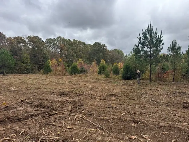 0 Barren Fork Drive, Bon Aqua, TN 37025 - Image #2