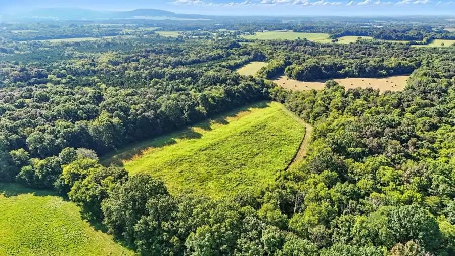 790 Squire Hall Rd, Bell Buckle, TN 37020 - Image #3