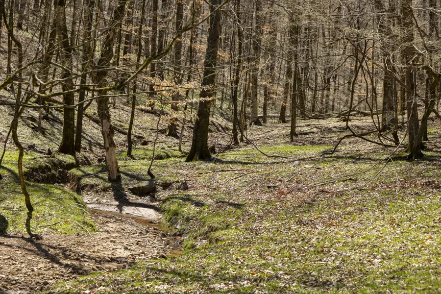 30 King Hollow Rd, Petersburg, TN 37144 - Image #2