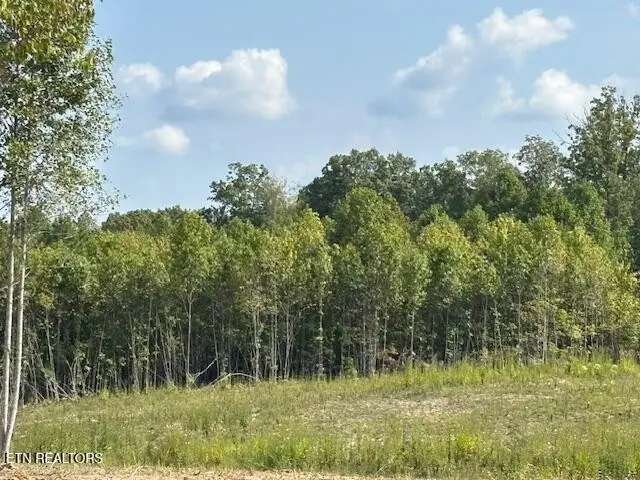0 Otis Davis Rd, Pikeville, TN 37367 - Image #3