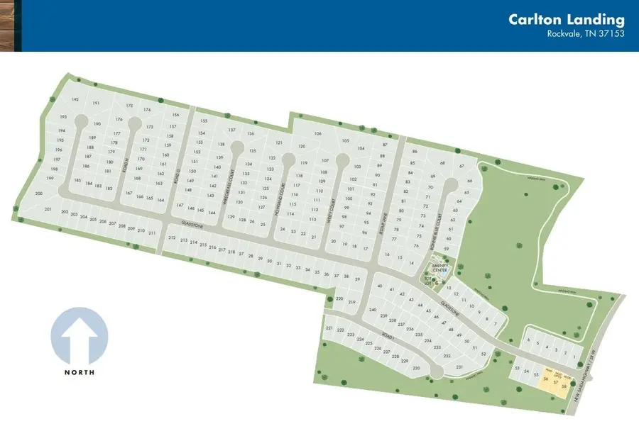 3709 Welty Ct, Rockvale, TN 37153 - Image #3