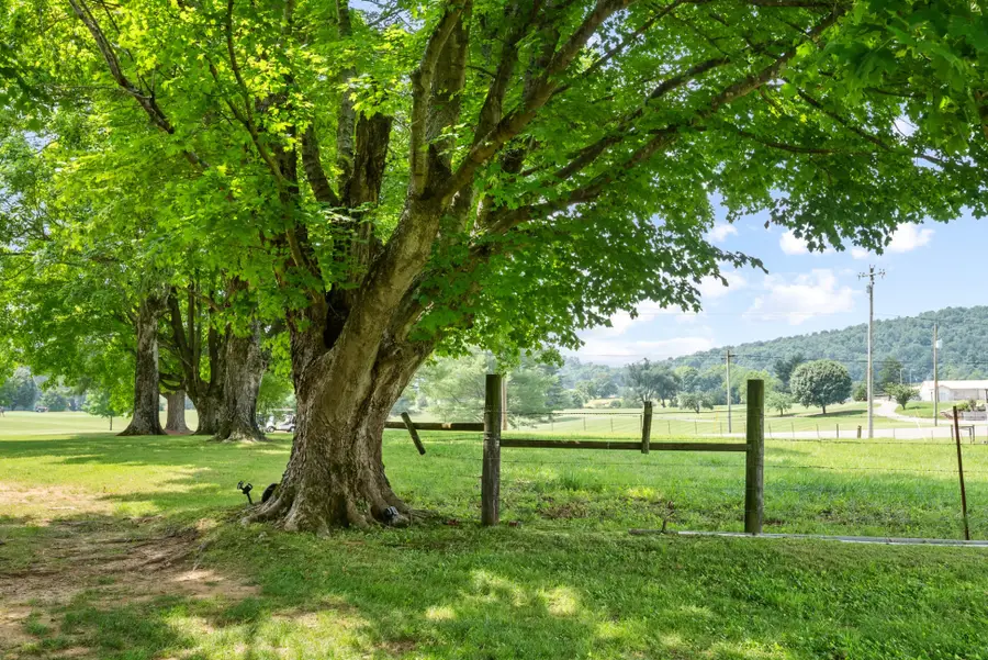 1364 Country Club Rd, Sparta, TN 38583 - #2
