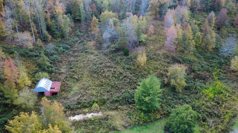 440 Big Spring Hollow Rd, Pulaski, TN 38478 - Image #2