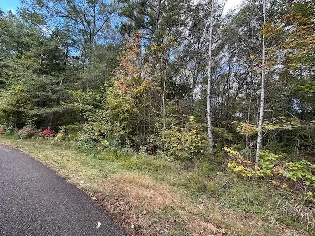 12 Breckenridge Ln, Savannah, TN 38372 - #3