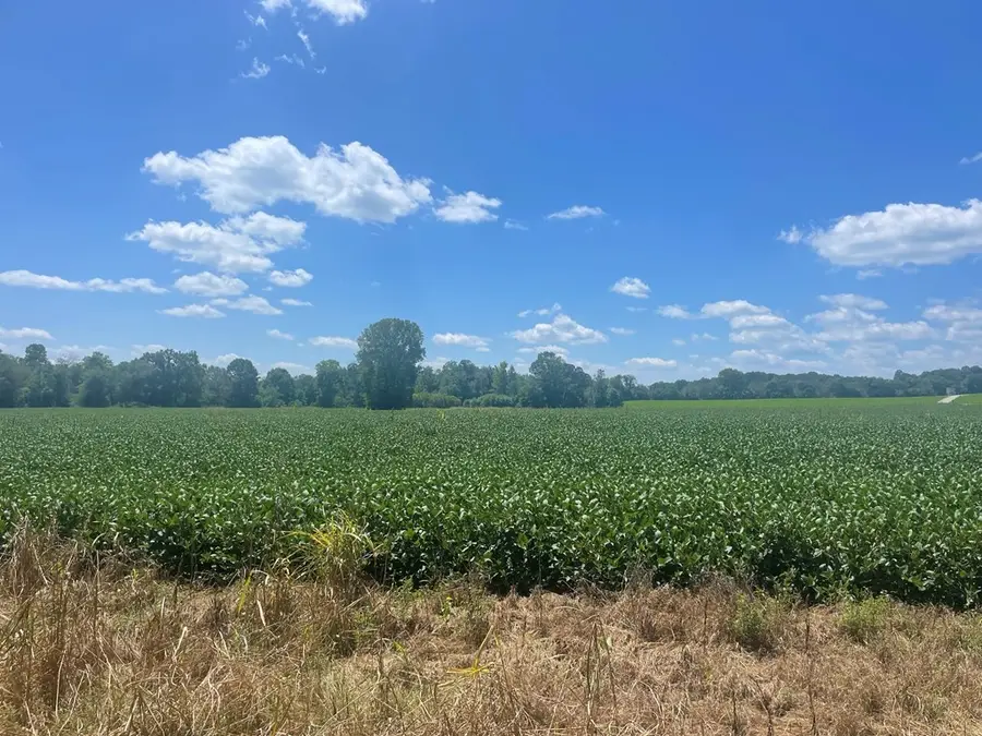 0 Ditty Road, Cookeville, TN 38506 - Image #2