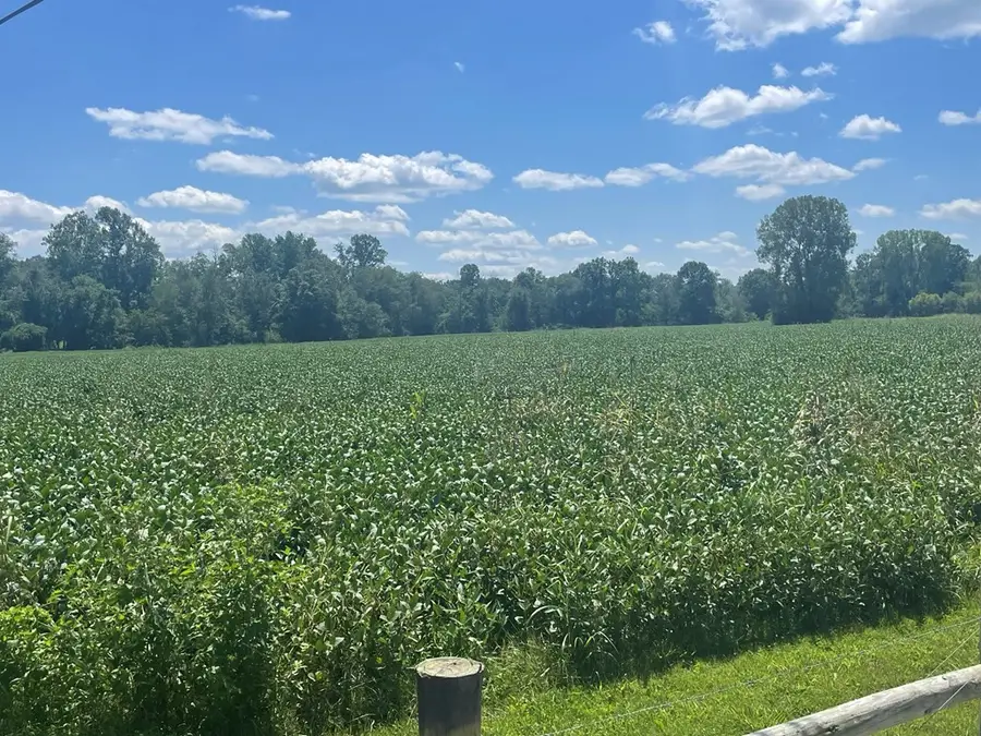 0 Ditty Road, Cookeville, TN 38506 - Image #3