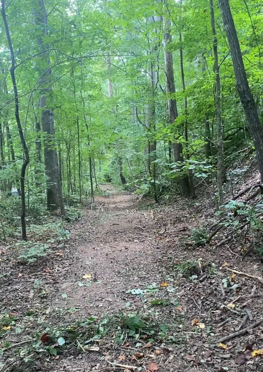 8552 Cub Creek Rd, Nashville, TN 37209 - #2