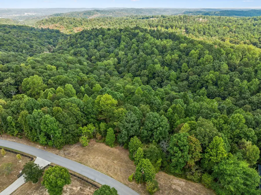 0 Gibbs Rd, Ashland City, TN 37015 - Image #2