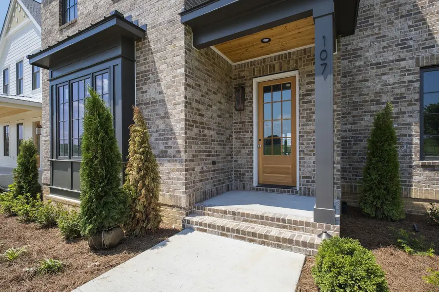 107 Cardiff Dr, Thompsons Station, TN 37179 - Image #3