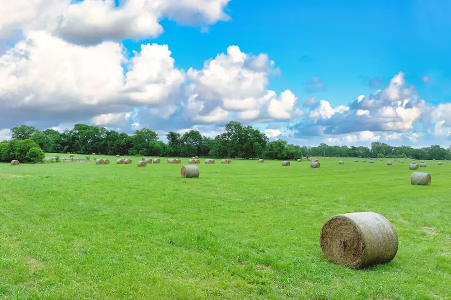 4 Deshea Creek Rd, Gallatin, TN 37066 - #2