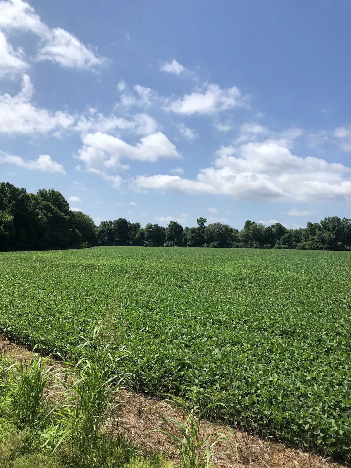 0 Duncan Rd, Manchester, TN 37355 - Image #1