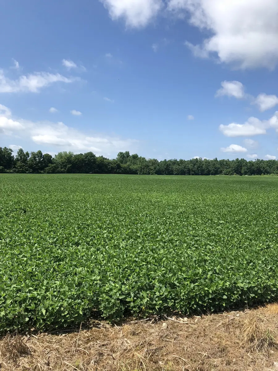 0 Duncan Rd, Manchester, TN 37355 - Image #2