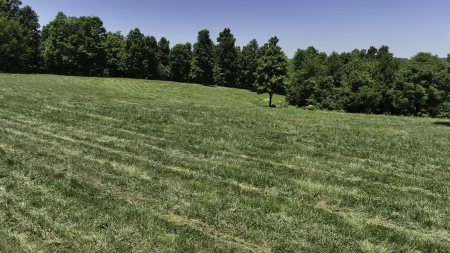 7840 W Lick Creek Rd, Primm Springs, TN 38476 - Image #3