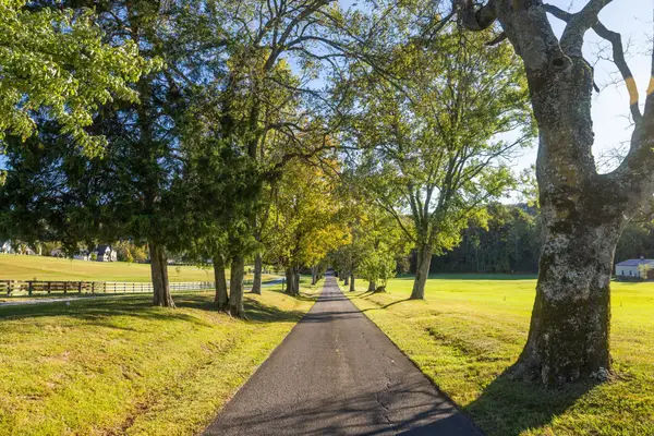 2133 Allisona Rd, Eagleville, TN 37060