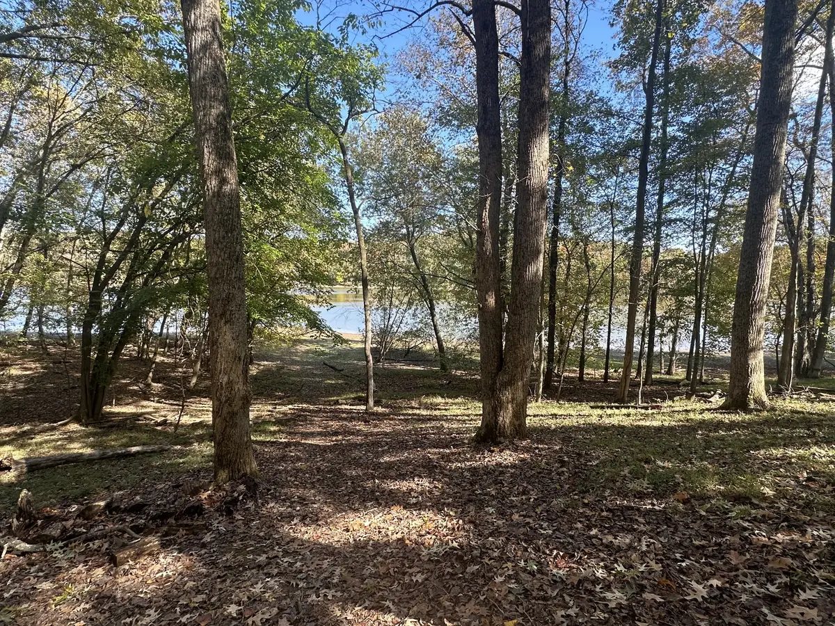 441 Mallard Dr, Dover, TN 37058 - #1