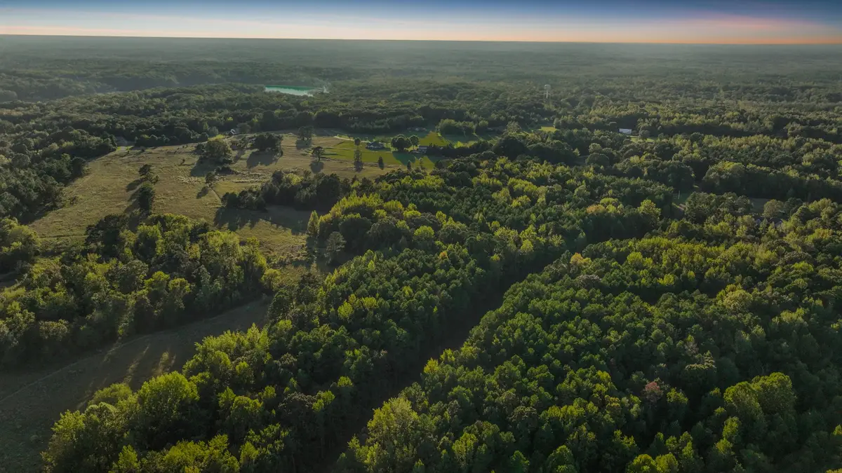 1368 Golf Dr, Saulsbury, TN 38067 - #1