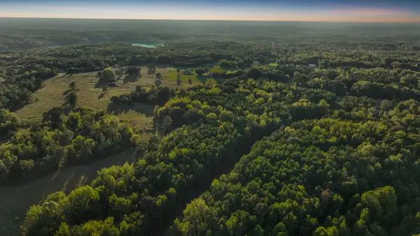 1368 Golf Dr, Saulsbury, TN 38067