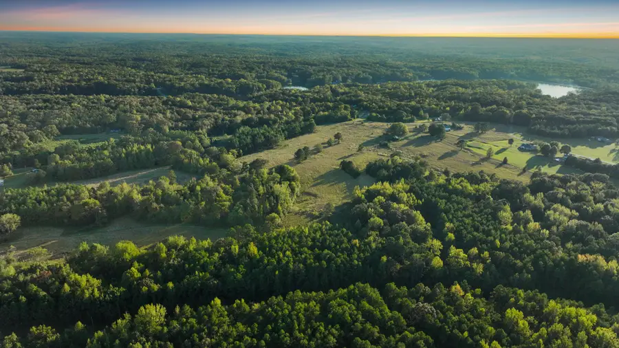 1368 Golf Dr, Saulsbury, TN 38067 - #3