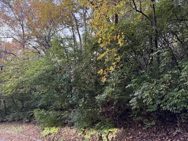 1332 Oakleigh Hill Drive, Nashville, TN 37215