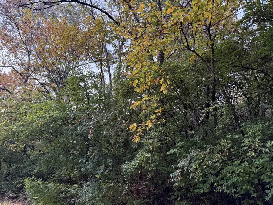 1332 Oakleigh Hill Drive, Nashville, TN 37215 - #2