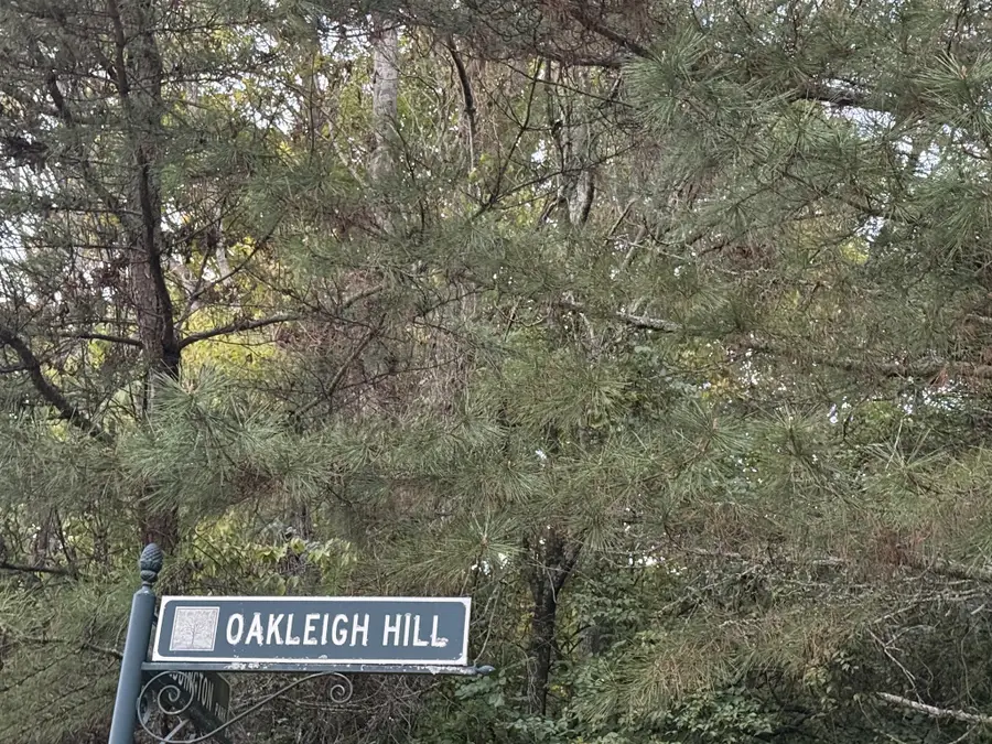 1332 Oakleigh Hill Drive, Nashville, TN 37215 - #3