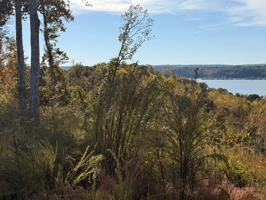 54 Ridge Top Road, Stewart, TN 37175 - #3