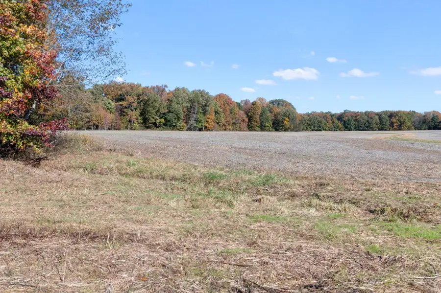 0 Hwy 431 N, Springfield, TN 37172 - Image #2