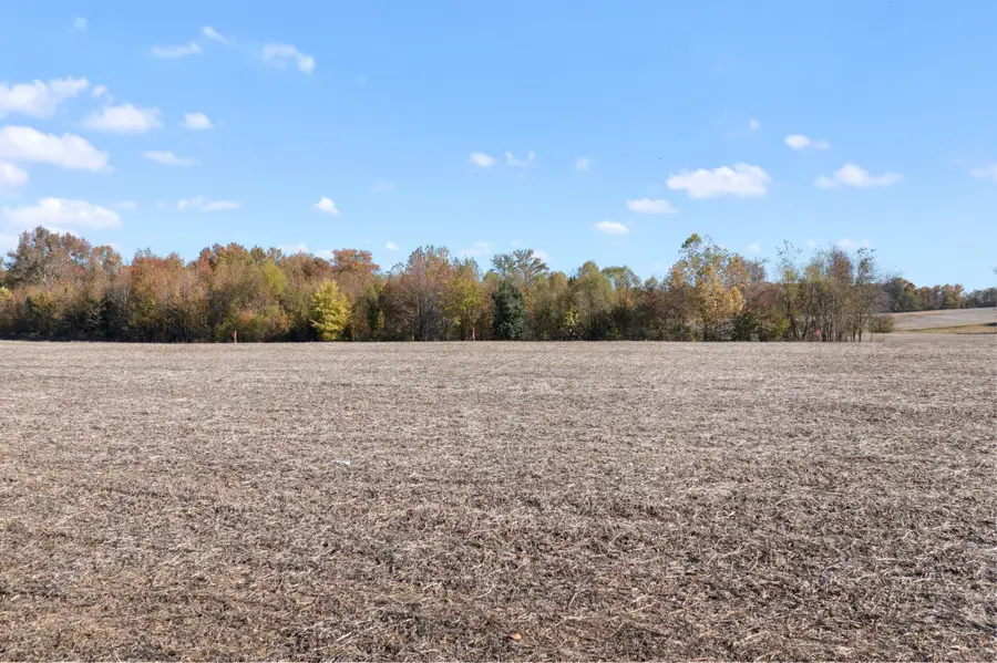 0 Hwy 431 N, Springfield, TN 37172 - Image #2