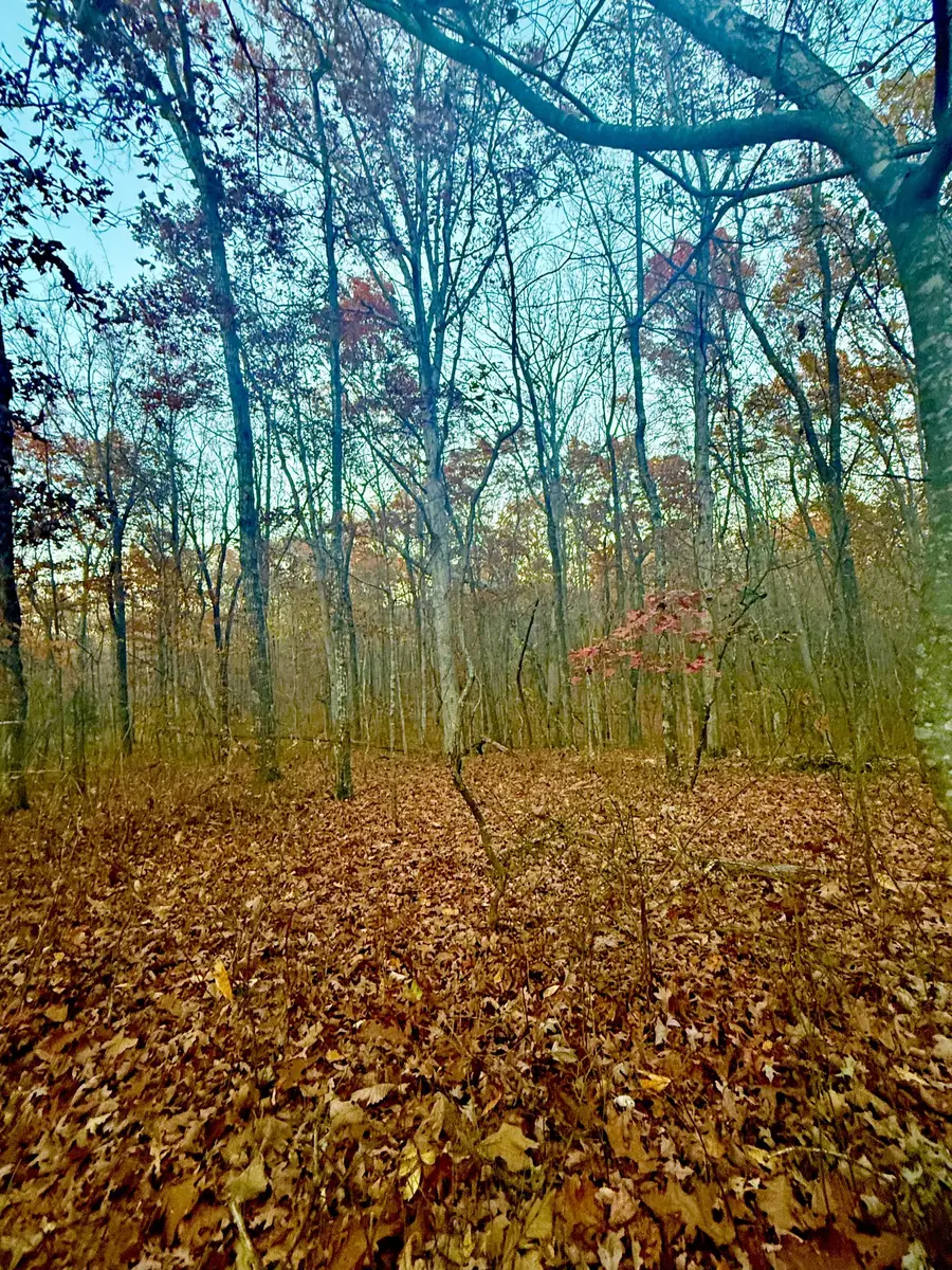 0 Deep Woods Rd, Sewanee, TN 37375 - #3