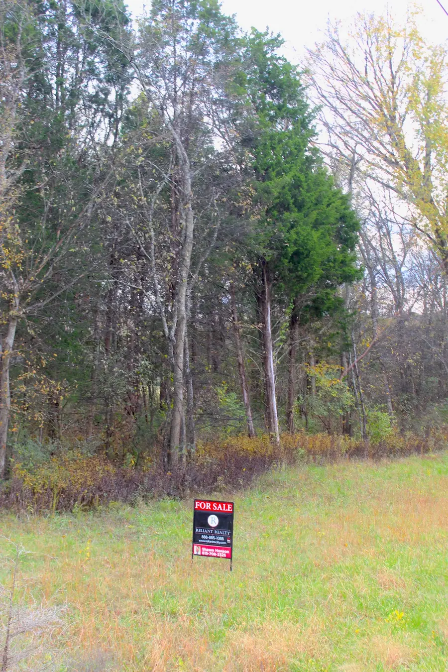 100 Fisher Dr, Lebanon, TN 37087 - #3