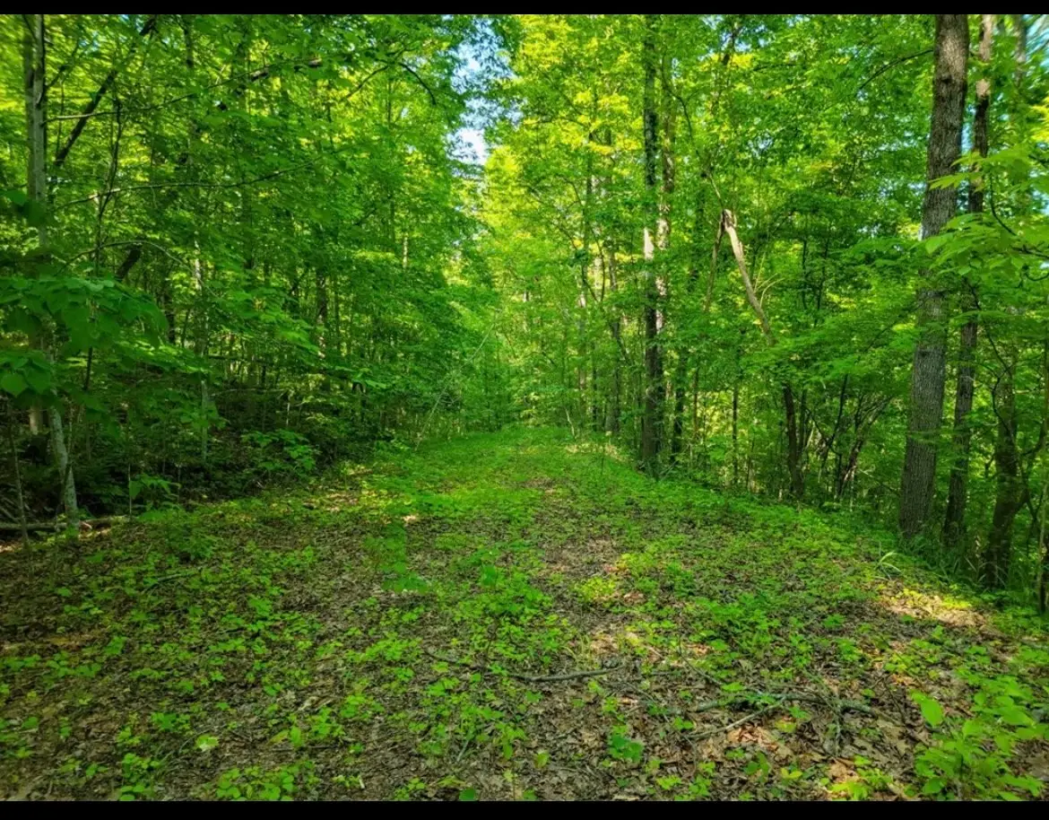 0 Shetland Trace, Sparta, TN 38583 - Image #1