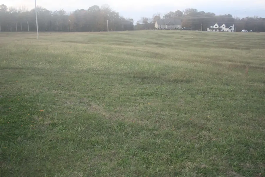 0 Highway 270, Chapel Hill, TN 37034 - Image #3