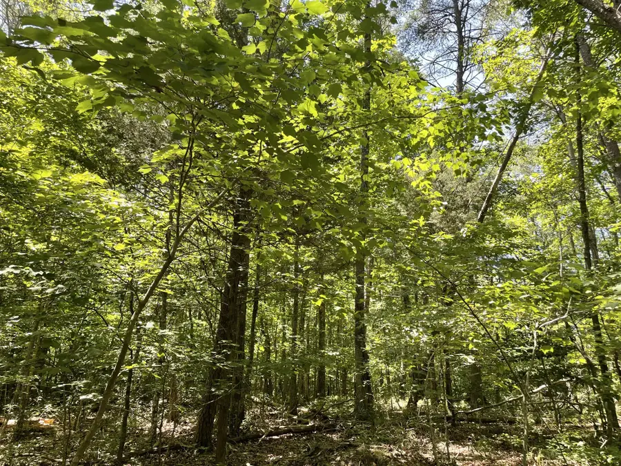 0 Tate Trl, Sewanee, TN 37375 - #2