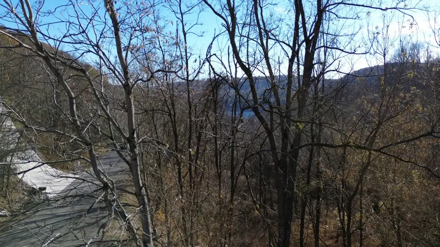 85 Blackberry Ridge Way, Smithville, TN 37166 - Image #3