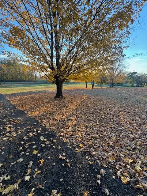 2740 Mclemore Rd, Franklin, TN 37064 - Image #2