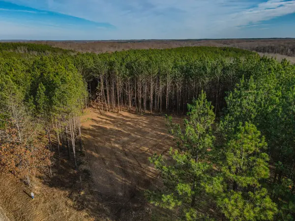 0 Brush Creek Rd, Hohenwald, TN 38462