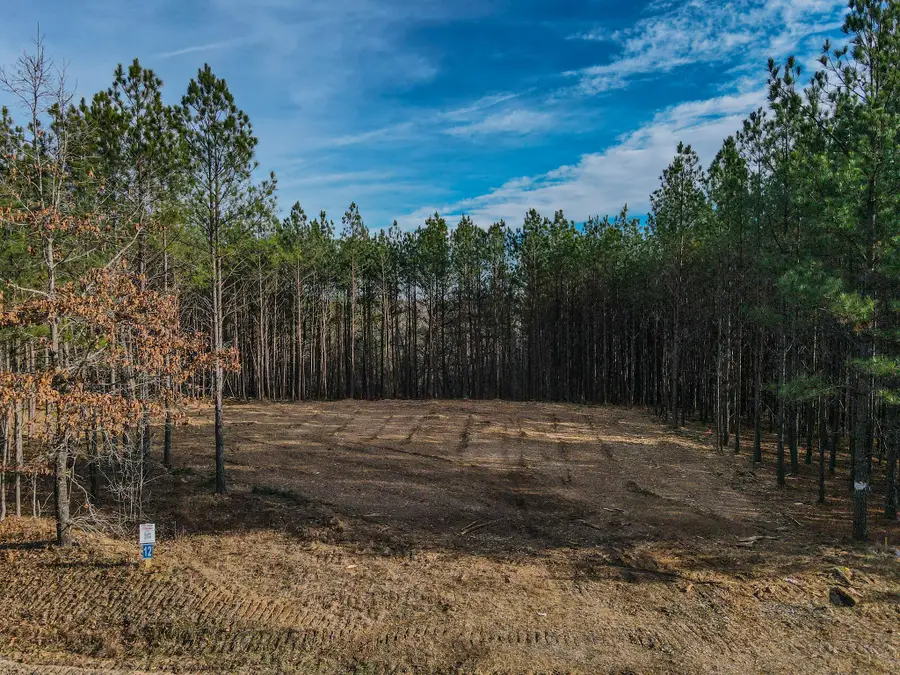 0 Brush Creek Rd, Hohenwald, TN 38462 - Image #2