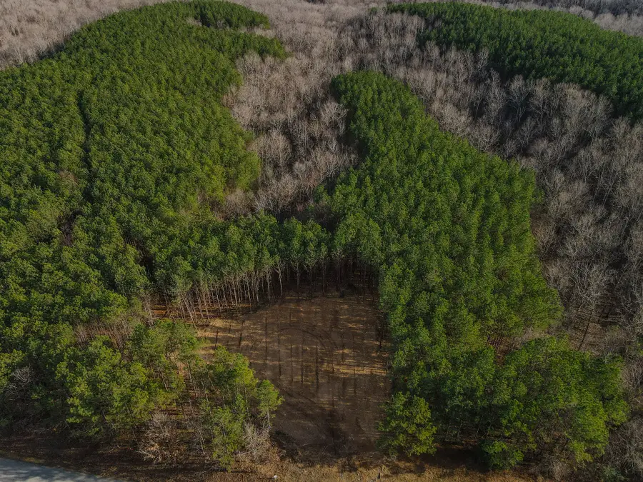 0 Brush Creek Rd, Hohenwald, TN 38462 - Image #3