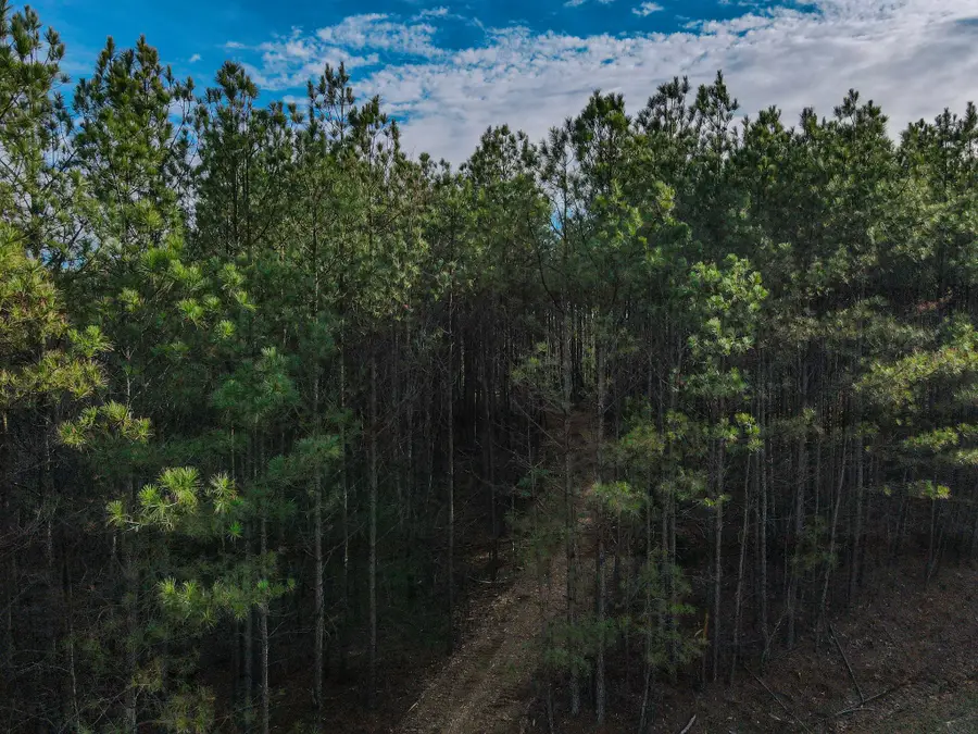 0 Brush Creek Rd, Hohenwald, TN 38462 - Image #2