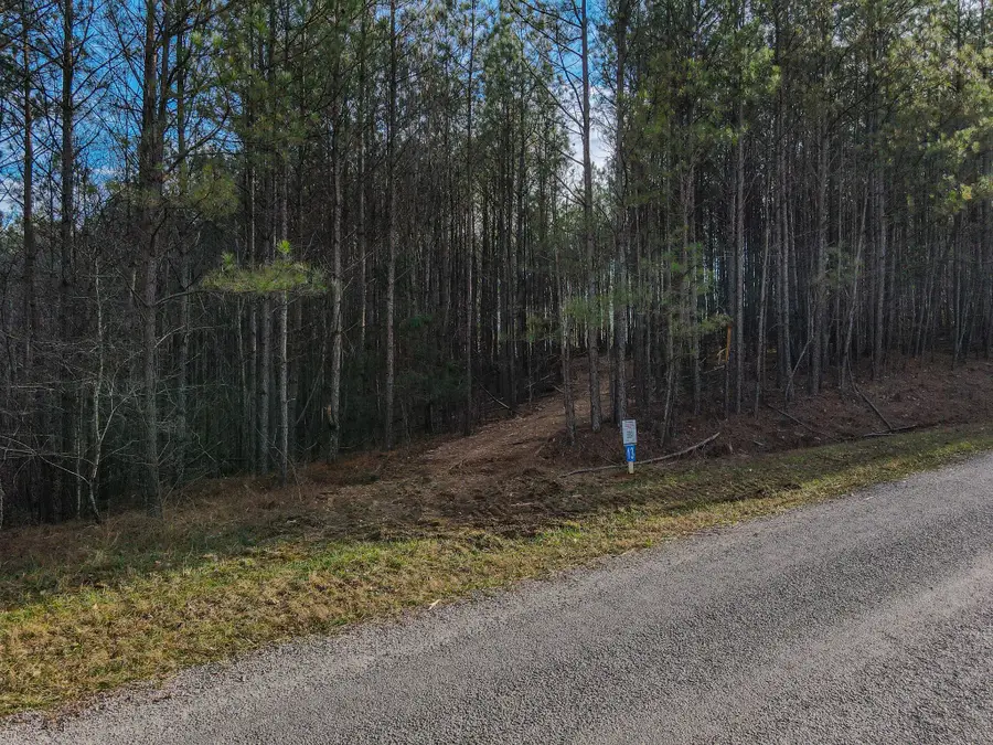 0 Brush Creek Rd, Hohenwald, TN 38462 - Image #3