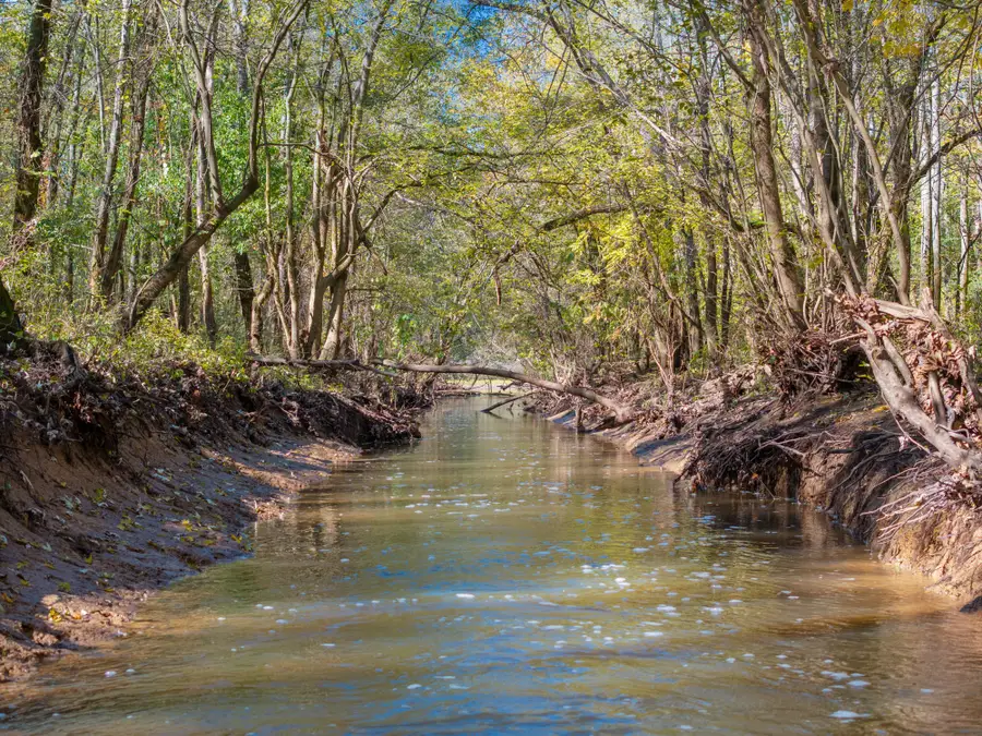 0 Doctor Fisher Ln, Decaturville, TN 38329 - Image #3