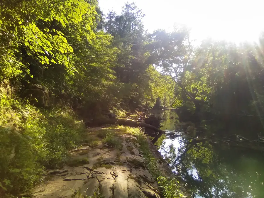 2359 Mack Floyd Rd, Sparta, TN 38583 - Image #3