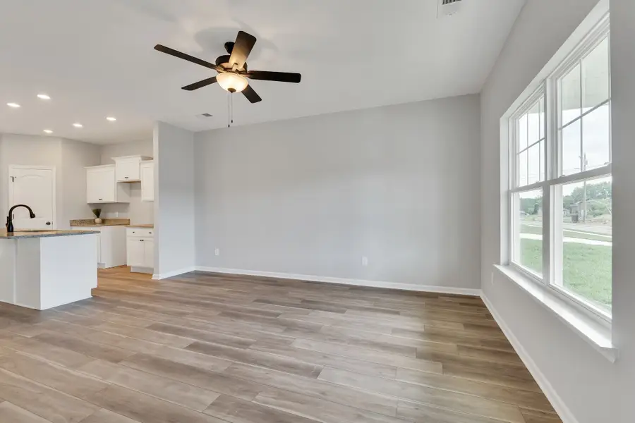 223 Hannah Lee Hill, La Vergne, TN 37086 - Image #3