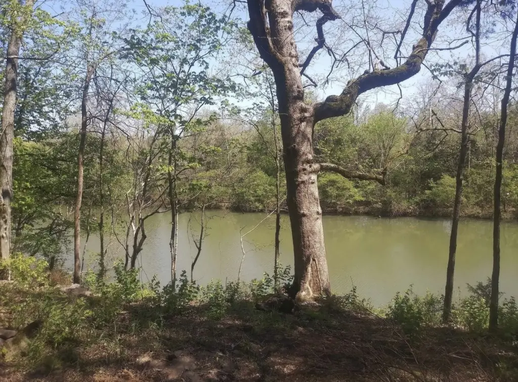 7891 Highway 70 S, Nashville, TN 37221 - #1