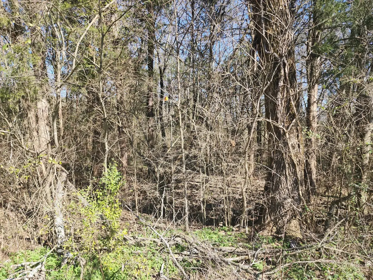 0 Hampshire Pike, Columbia, TN 38401 - Image #1