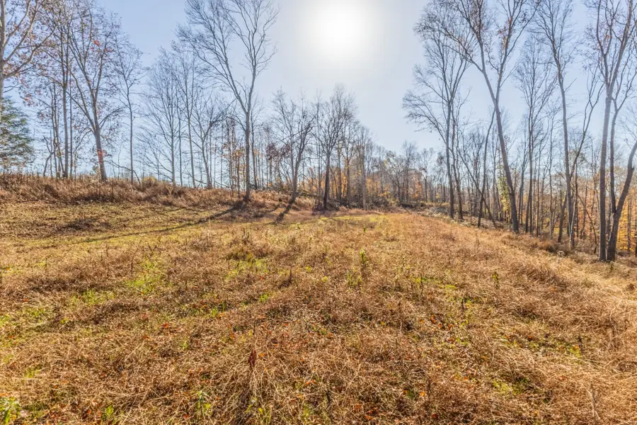 1548 Rabe Coats Rd, Westmoreland, TN 37186 - Image #3