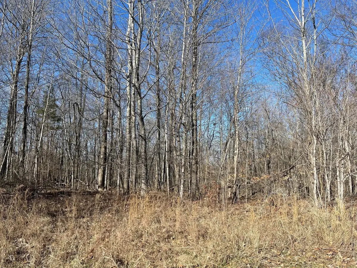 0 Chandler Rd, Woodlawn, TN 37191 - Image #1