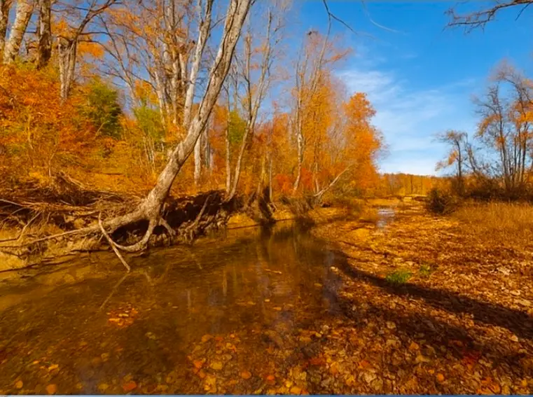 0 Old Highway 48, Clarksville, TN 37040 - #3