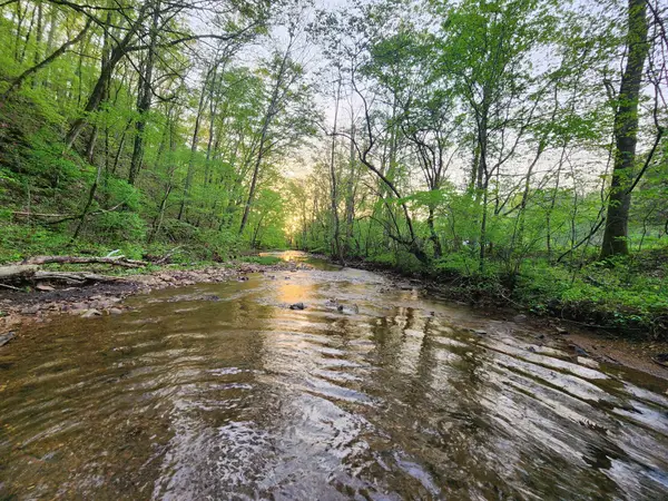 0 Blowing Springs Rd, Lawrenceburg, TN 38464